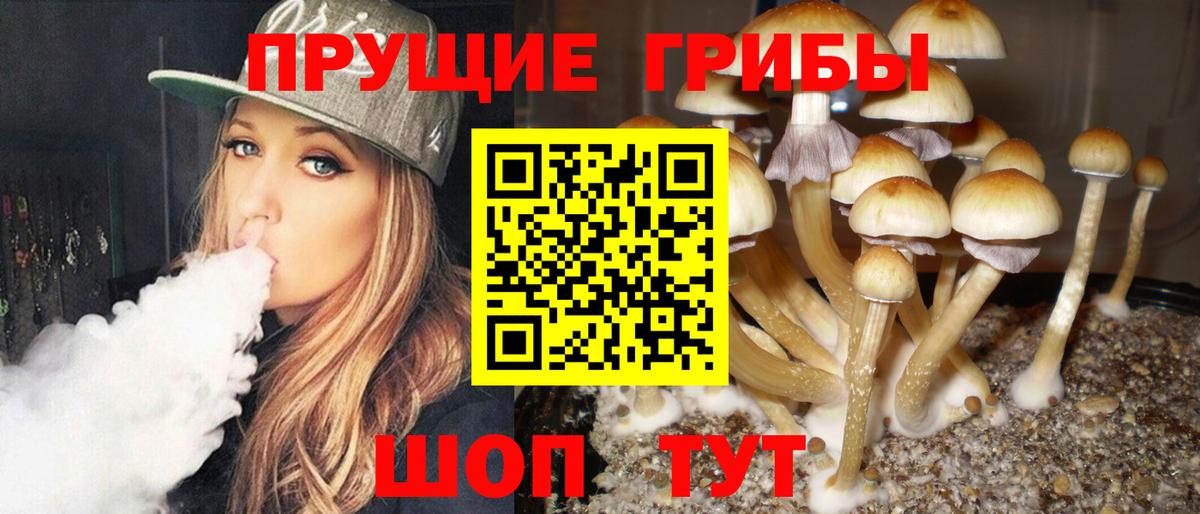 Галлюциногенные грибы Magic Shrooms  Вход с VPN  Псилоцибиновые грибы GOLDEN TEACHER  Шадринск 