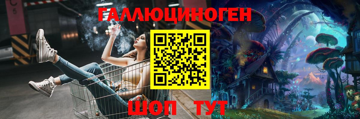 Галлюциногенные грибы Psilocybe Шадринск